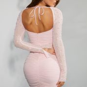 5318_10_StGermain-Blush-Embellished-Sleeve-Mini-Dress.jpg