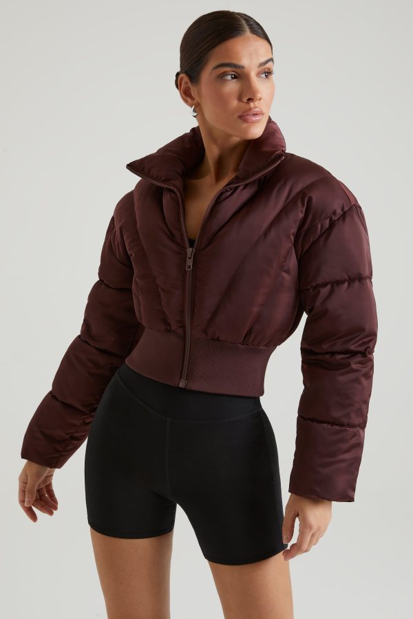7509_5_Brown-Zip-Up-Front-Puffer-With-Ribbed-Panels.jpg