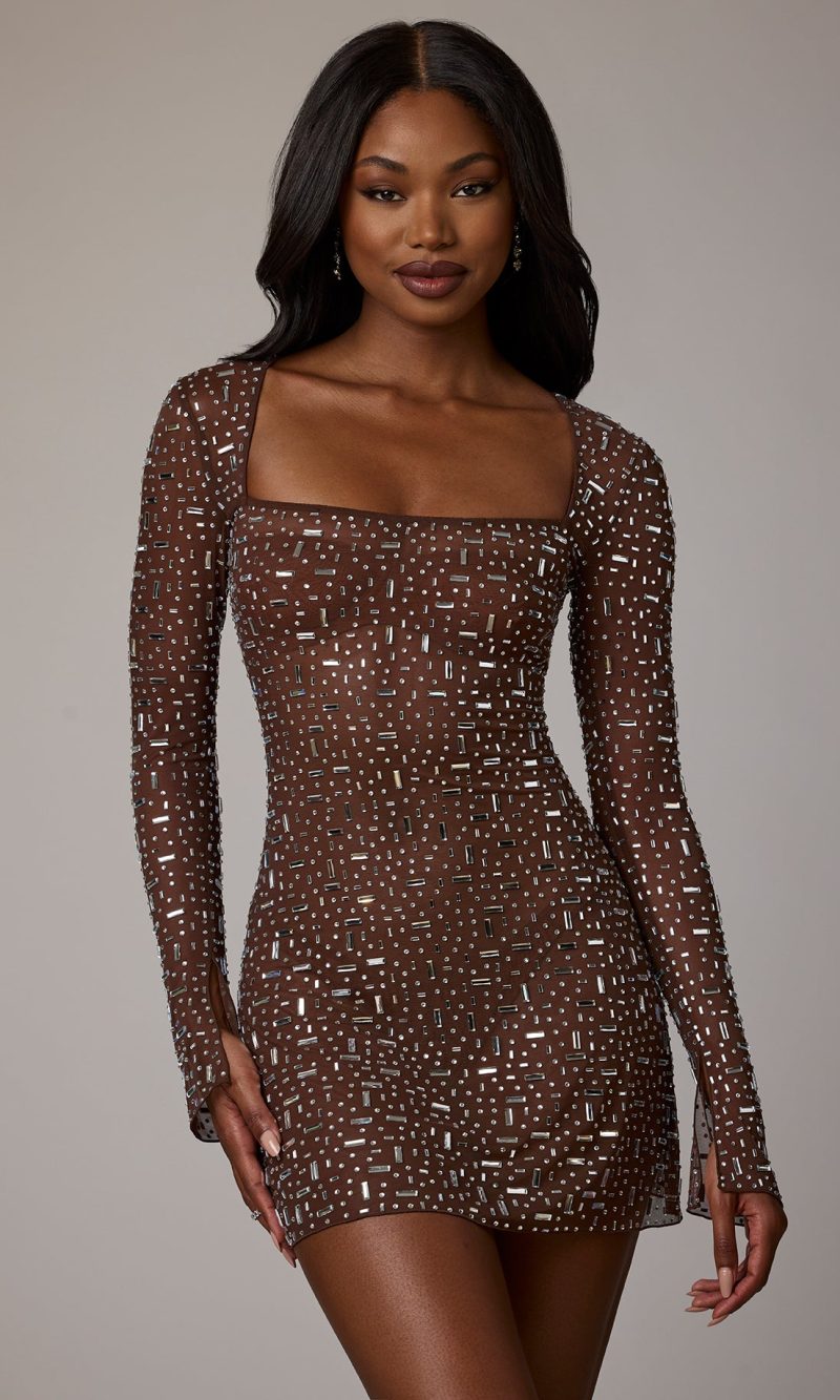 Sheer Embellished Long Sleeve A-Line Mini Dress in Deep Cocoa
