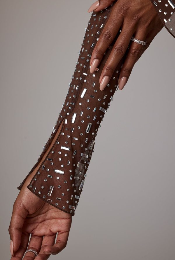 7964-Chocolate_Zeta_10.jpg