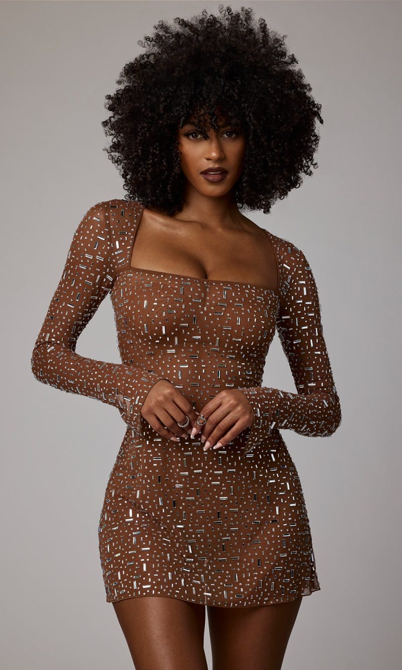 Sheer Embellished Long Sleeve A-Line Mini Dress in Mocha