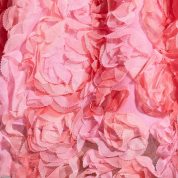 8064-Pink_Evanthe_10.jpg