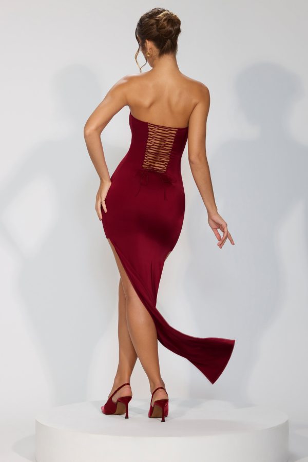 8135-Red_Aster_10.jpg