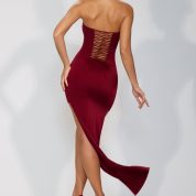 8135-Red_Aster_10.jpg