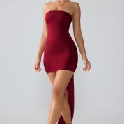 8135-Red_Aster_2.jpg