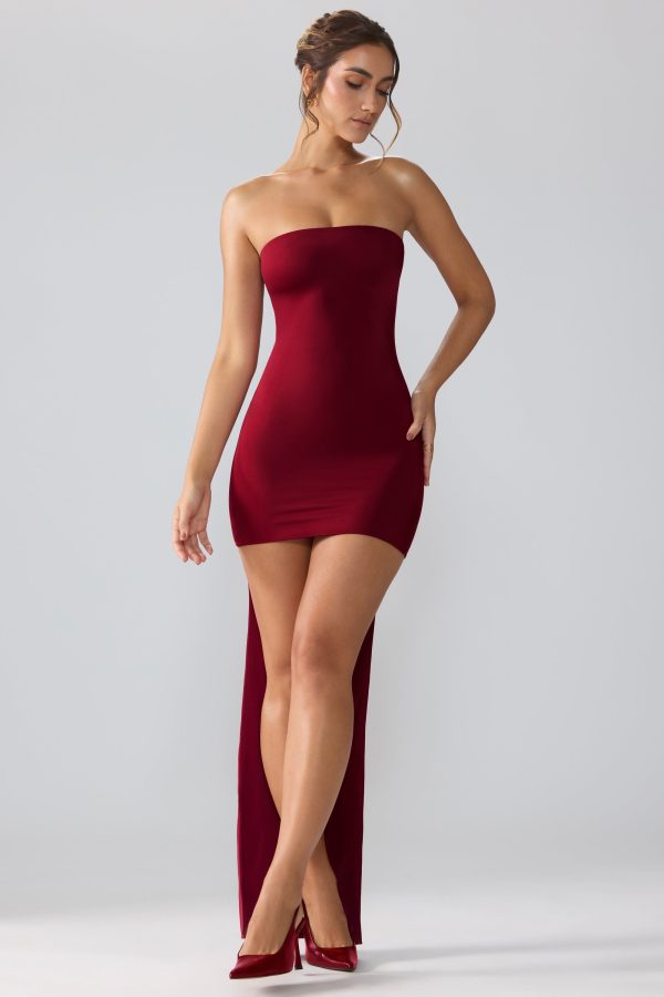 8135-Red_Aster_4.jpg