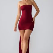 8135-Red_Aster_4.jpg