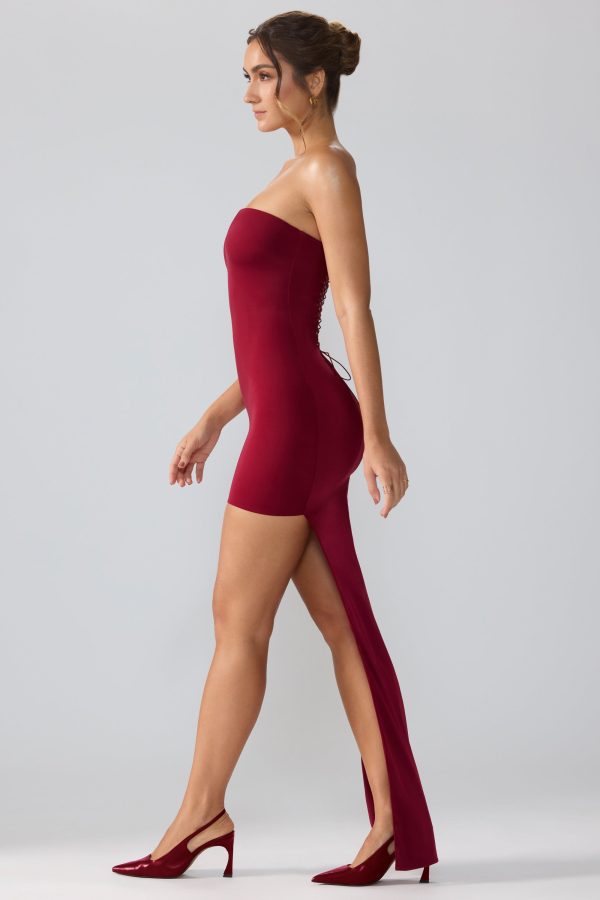 8135-Red_Aster_5.jpg