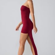 8135-Red_Aster_5.jpg