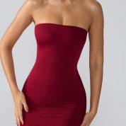 8135-Red_Aster_7.jpg