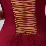 8135-Red_Aster_8.jpg
