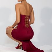 8135-Red_Aster_9.jpg