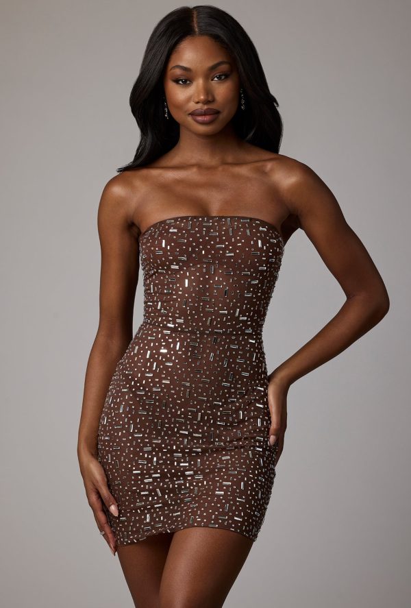 8298-Chocolate_Caprice_3.jpg