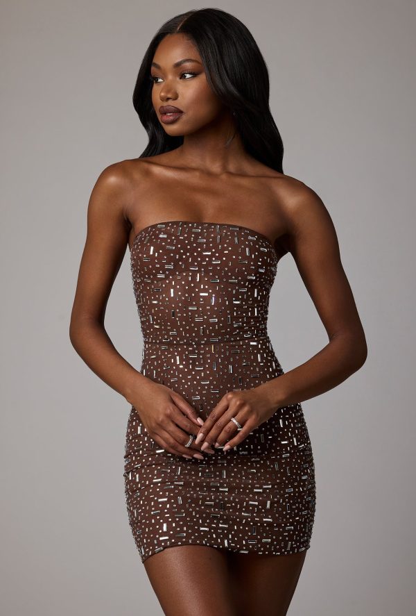 8298-Chocolate_Caprice_4.jpg