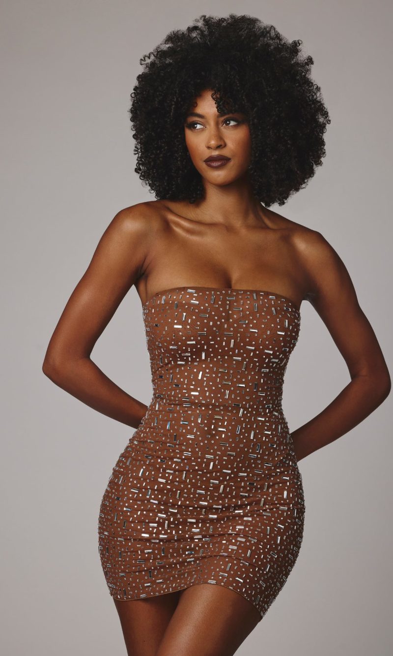 Sheer Embellished Bodycon Mini Dress in Mocha