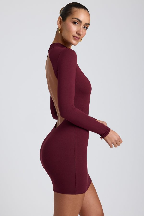 8484-Plum_Yara_4.jpg