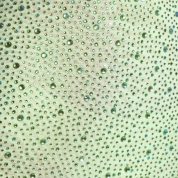 9003-Pistachio_Aellin_7_a80ae0a8-818f-4786-b5c7-f80a77d52deb.jpg