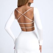 9880-White_Tansy_6.jpg