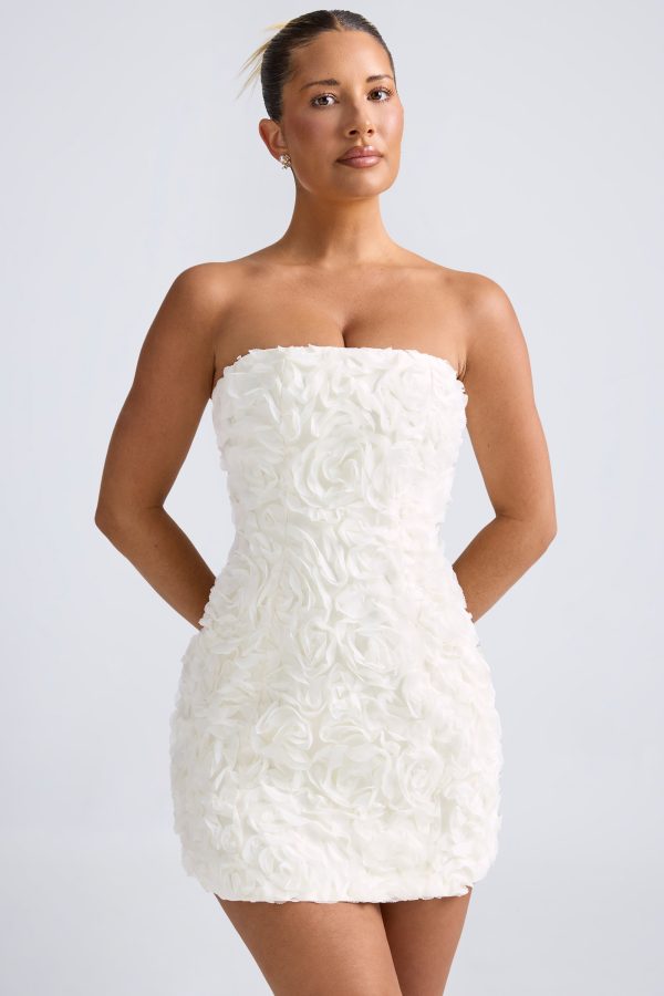 9953-White_Azaelea_2_b6f3e851-1a68-4f03-aa8f-19e759a30a5a.jpg
