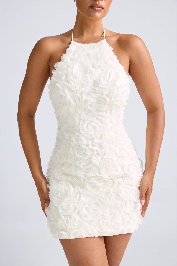 9955-White_Bryony_8.jpg
