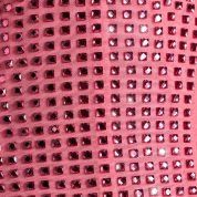 9985-Watermelon_Azelie_6.jpg