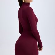amira-modal-turtleneck-mini-dress-wine-red_2_241114054344.jpg