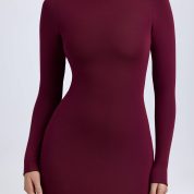 amira-modal-turtleneck-mini-dress-wine-red_5_241114054344.jpg