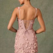 briar-embellished-corset-mini-dress-dusty-rose_2_25032409432.jpg