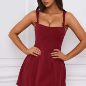 cressida-bow-detail-pleated-a-line-mini-dress-berry-red_1_240920031755.jpg