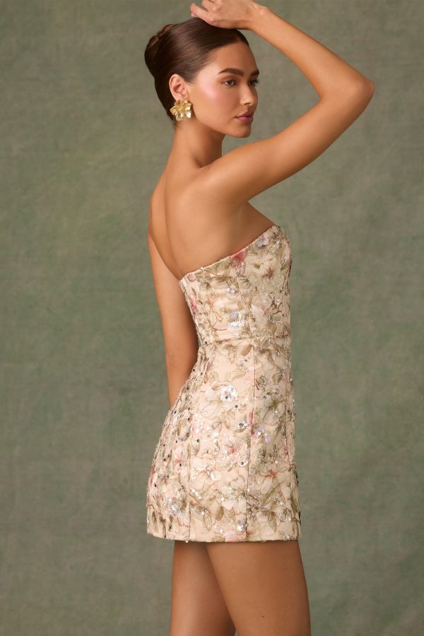 dahlia-embellished-strapless-a-line-mini-dress-floral-beige_5_250319122338.jpg