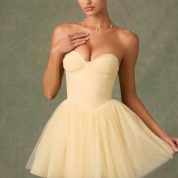 dottie-tulle-corset-mini-dress-yellow_9_25032005171.jpg