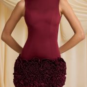 florrie-applique-open-back-mini-dress-wine-red_4_241204031112.jpg