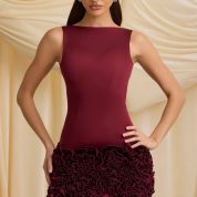 florrie-applique-open-back-mini-dress-wine-red_7_241204031112.jpg