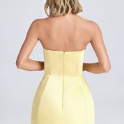 haisley-bandeau-tulip-mini-dress-lemon-sherbert_3_250221014829.jpg