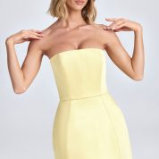 haisley-bandeau-tulip-mini-dress-lemon-sherbert_6_250221014829.jpg