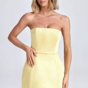 haisley-bandeau-tulip-mini-dress-lemon-sherbert_7_250221014829.jpg