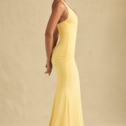 laverna-ruched-backless-halterneck-gown-pastel-yellow_3_250521051458.jpg
