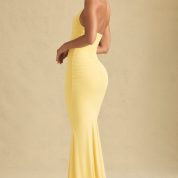 laverna-ruched-backless-halterneck-gown-pastel-yellow_6_250521051458.jpg