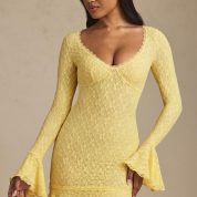 long-sleeve-ruffled-lace-mini-dress-pastel-yellow_9_250423014838.jpg