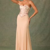 lysana-embellished-corset-fishtail-gown-floral-beige_8_250320091455.jpg