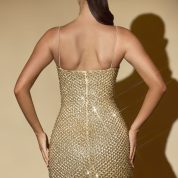 mischa-embellished-sweetheart-neck-mini-dress-gold_3_241219031229.jpg