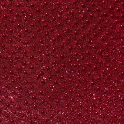 mischa-embellished-sweetheart-neck-mini-dress-red_5_241219031716.jpg