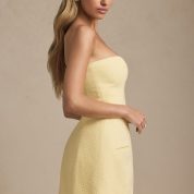 talina-sweetheart-strapless-structured-mini-dress-pastel-yellow_5_250415031643.jpg
