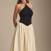 thalira-halterneck-a-line-midaxi-dress-black_7_250415074717.jpg