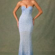 vesna-embellished-sweetheart-neck-fishtail-gown-sky-blue_1_250318042559.jpg