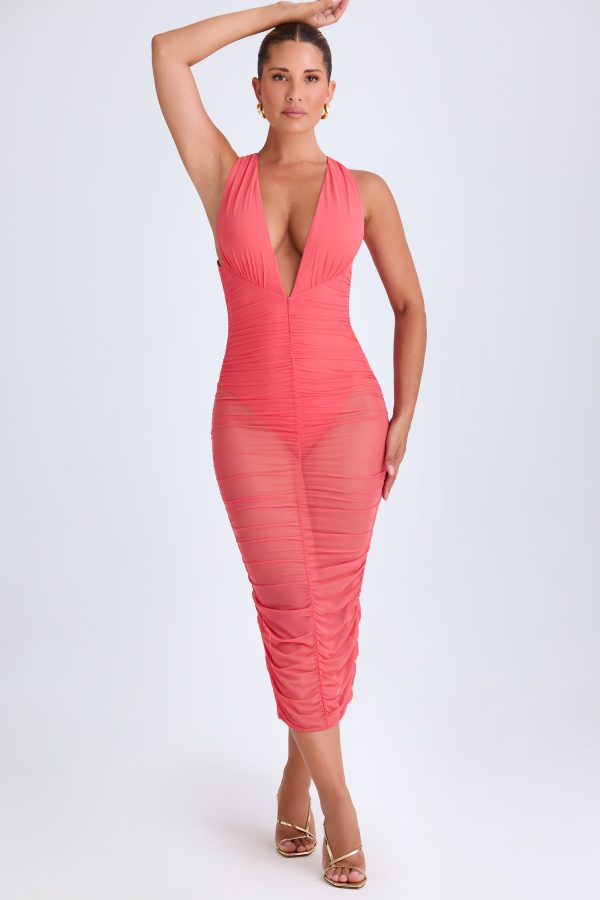 10056-Coral_Safira_7.jpg