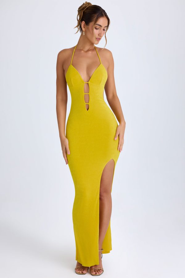 10173-Buttercup_Solaria_4.jpg
