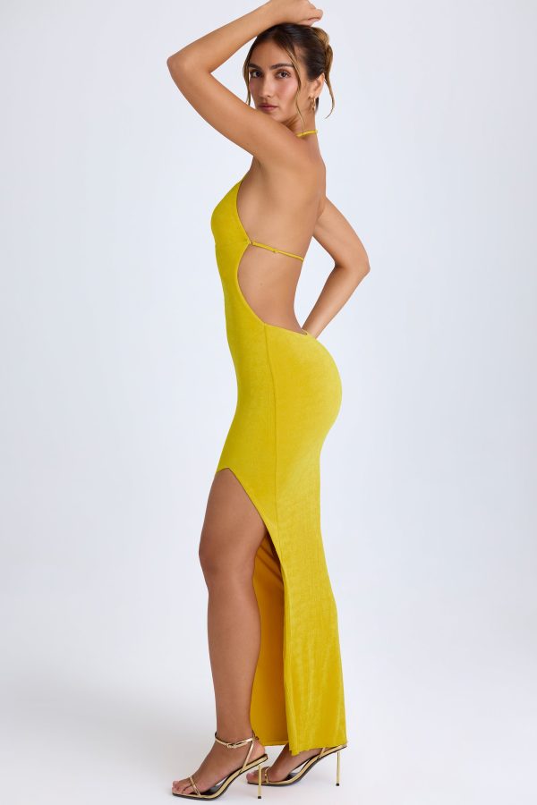 10173-Buttercup_Solaria_6.jpg