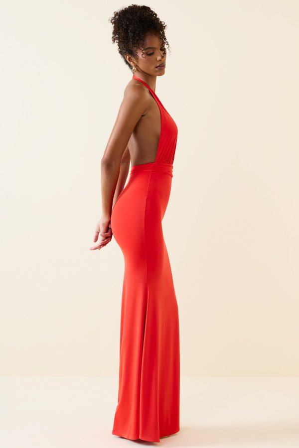 11269-Scarlet_Xenia_3.jpg