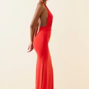 11269-Scarlet_Xenia_3.jpg